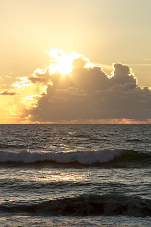 Oregon Coast 2015-9166