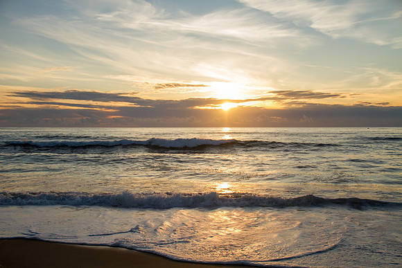 Oregon Coast 2015-9298