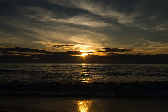 Oregon Coast 2015-9299