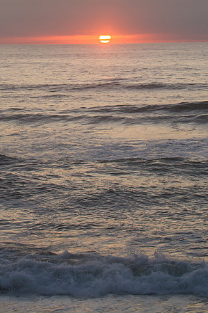 Oregon Coast 2015-9424