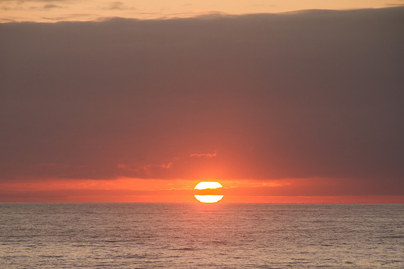 Oregon Coast 2015-9426