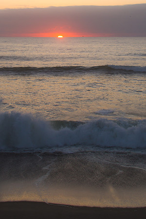 Oregon Coast 2015-9436