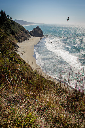 Oregon Coast 2015-9500