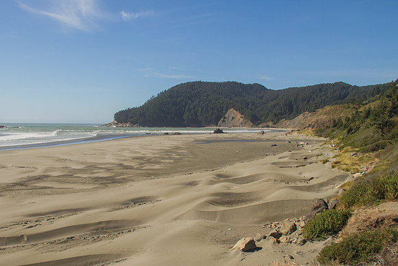 Oregon Coast 2015-9502
