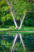Reflection May 2025-8087