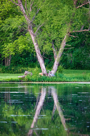 Reflection May 2025-8087