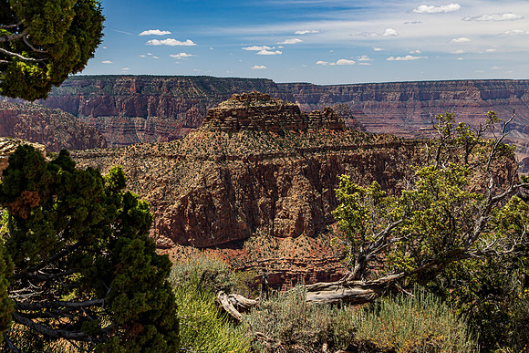 Grand Canyon East side May 2026-0022