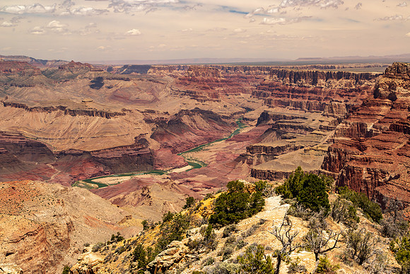 Grand Canyon East side May 2026-9963