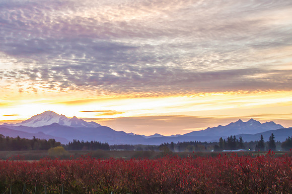 Mt. Baker Sunrise 2015 9573-2