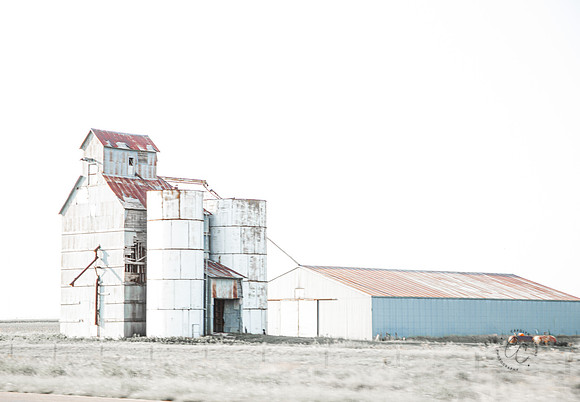 Texas barn July 2026-1588