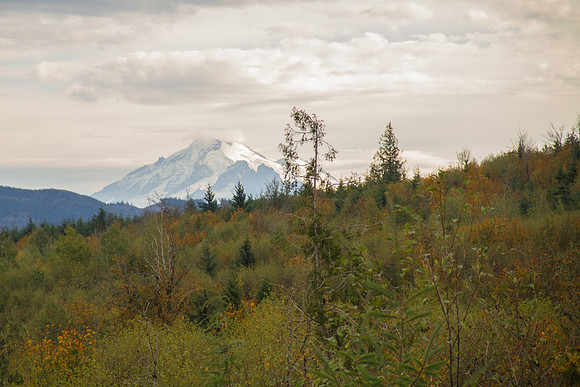 Galbraith Trail Oct 2015-9684