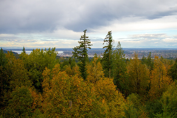 Galbraith Trail Oct 2015-9677
