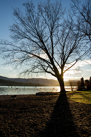 Lake Whatcom Sunrise Jan 2016-0586