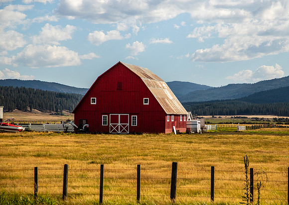 Idaho Barn Sept 2026-3193