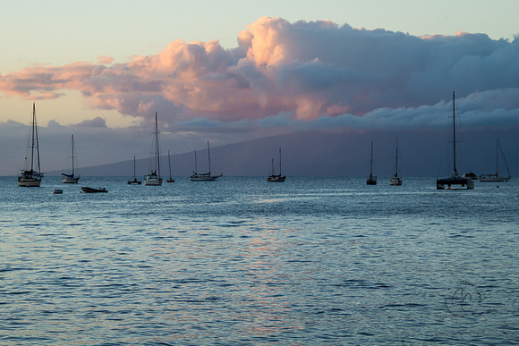 Maui Feb 2016-1129