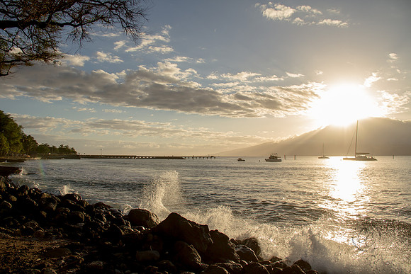 Maui Feb 2016-1075