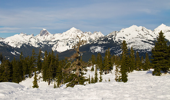 Snowshoe Mt. Baker-8811