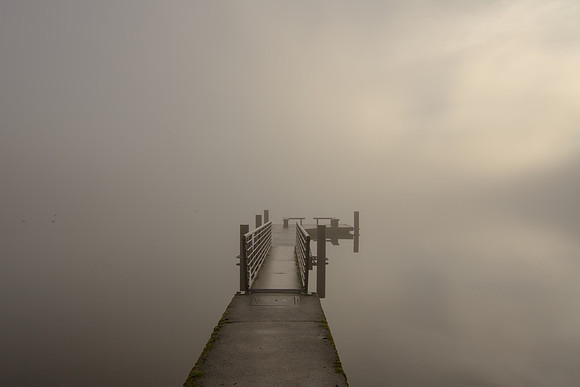 Lake Padden Jan 2014-0825