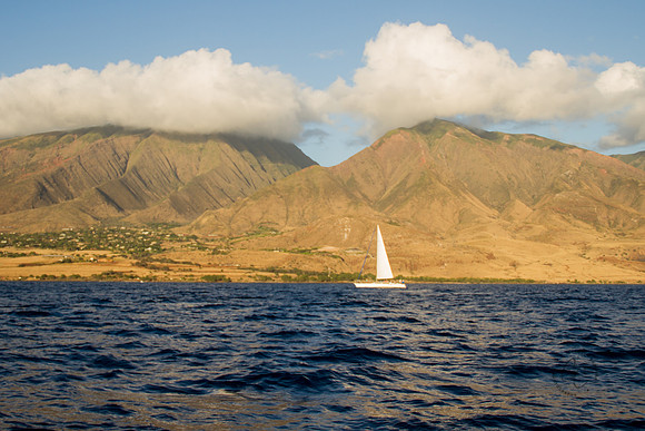 Maui Feb 2016-1276