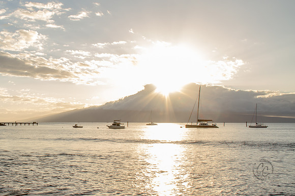 Maui Feb 2016-1101