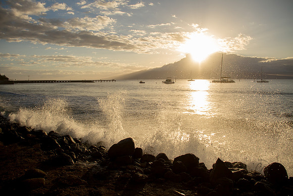 Maui Feb 2016-1097