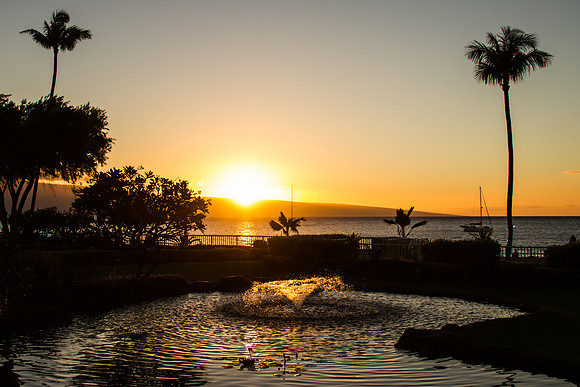Maui Feb 2016-0846