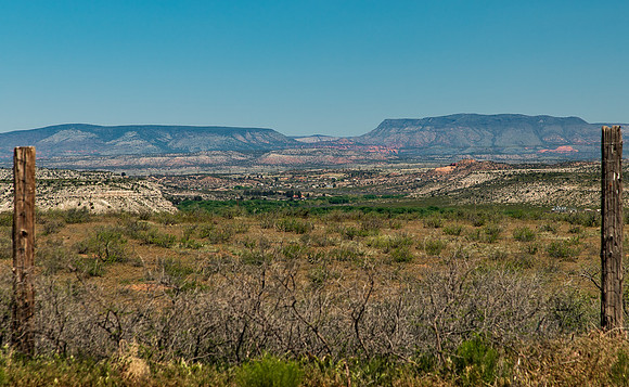 Out of Africa AZ April 2023-9617