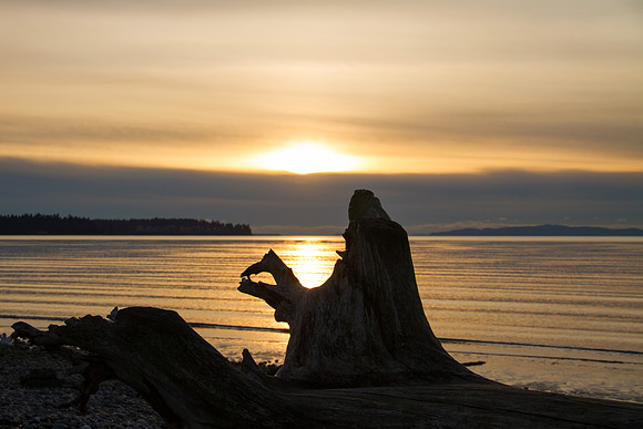 Birch Bay Dec 2015-9480