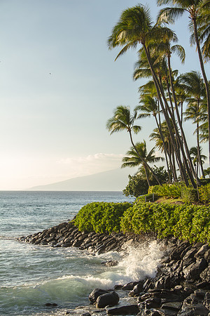 Maui Feb 2016-0794
