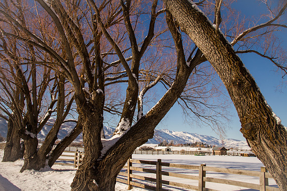 Huntsville UT Dec 2015-9985