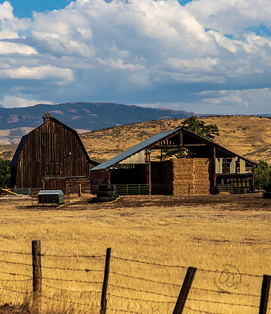 Idaho Barn Sept 2026-3166