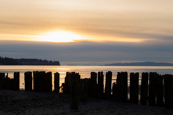 Birch Bay Dec 2015-9495