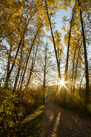 Whatcom Falls Park Trails-9713