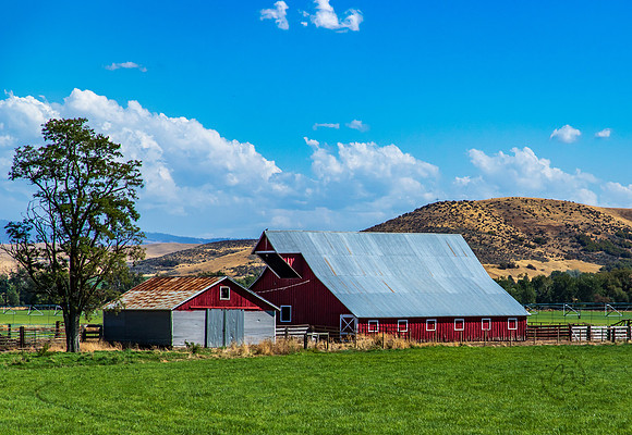 Idaho Barn Sept 2026-3162