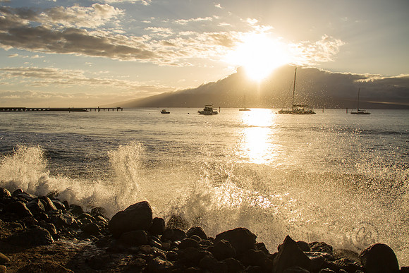 Maui Feb 2016-1096