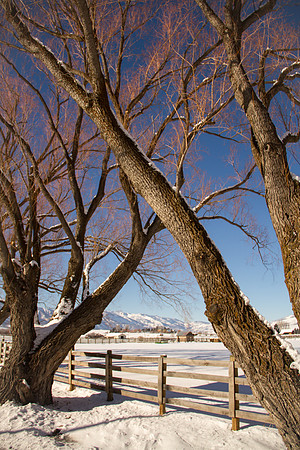 Huntsville UT Dec 2015-9983
