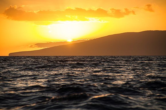 Maui Feb 2016-1553