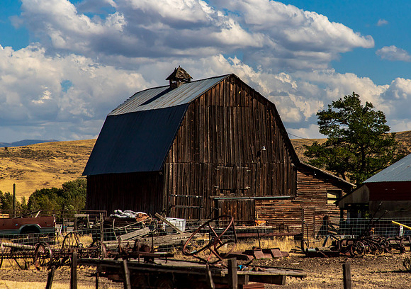 Idaho Barn Sept 2026-3167