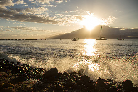 Maui Feb 2016-1094