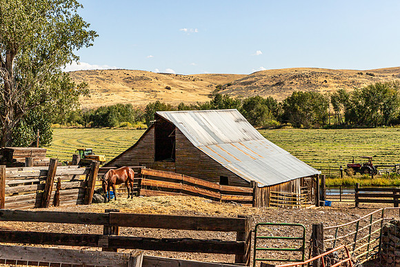 Idaho Barn Sept 2026-3176