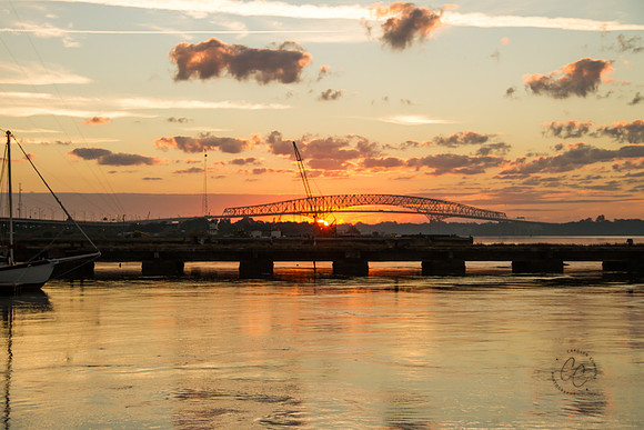 Jacksonville Riverwalk-9226