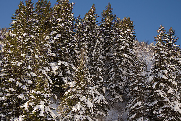 Huntsville UT Dec 2015-9895