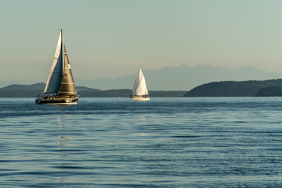 Bellingham Bay July 2016-3116