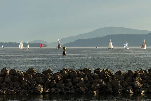 Harbor Walk July 2016-2956