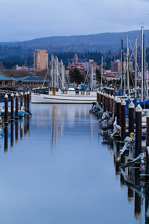 Zuanich Marina March 2016-2000