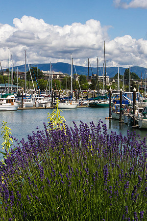 Zuanich Marina May 2016-0128