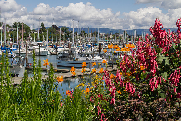 Zuanich Marina May 2016-0162