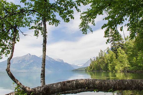 Glacier National Park June 2016-0482