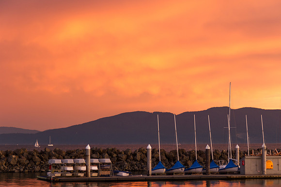 Harbor Walk July 2016-3023
