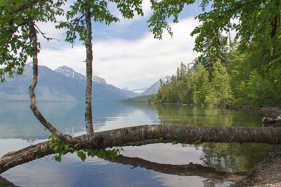Glacier National Park June 2016-0475